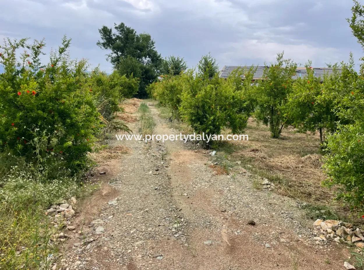 2.528M2 Feld Zum Verkauf In Der Nähe Des Zentrums Von Dalyan