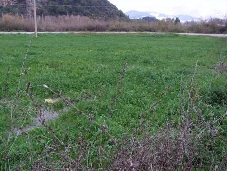 Gulpinar Dalyan Dalyan Zum Verkauf In 1002M2 Grundstück Für Verkauf Zum Verkauf Eckstein