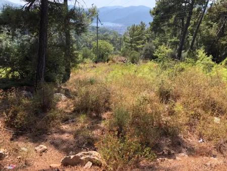 Tourismus-Zonen Grundstücke Zum Verkauf In Göcek Mit Meerblick Zum Verkauf In Gocek