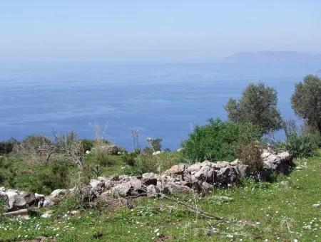 Land Zum Verkauf In Faralya Mit Vollem Meerblick Zum Verkauf