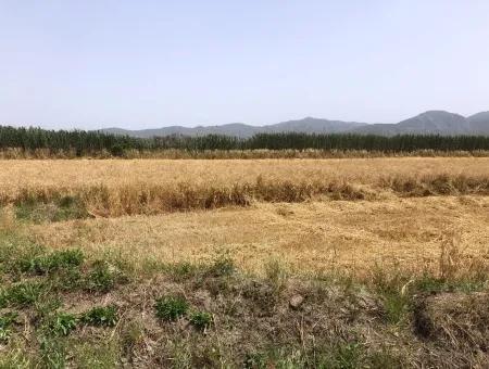 Ackerland Zum Verkauf 39 Hektar In Eskikoy