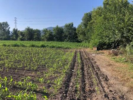 2200M2 Grundstück Zum Verkauf In Dalyan Zum Verkauf In Dalyan