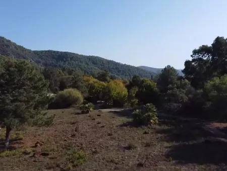 Land Zum Verkauf In 'Aml'da Marmaris 'Aml'da Meerblick 11720M2 Land Zu Verkaufen