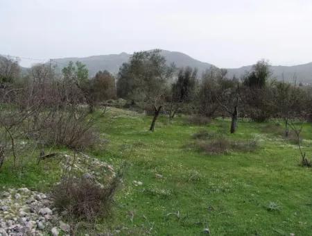 In Incirkoy Uzumlu Fethiye Grundstück Für Verkauf Bauernhof Zum Verkauf In Incirkoy