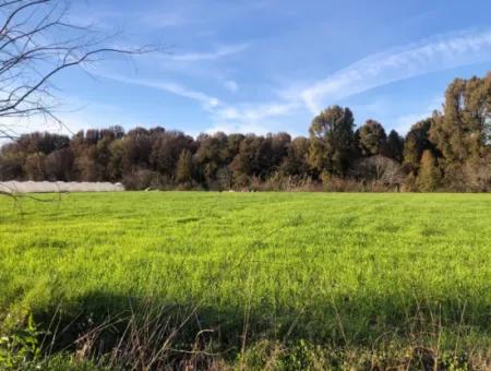 Bogenschützen Land Zu Verkaufen Marmarli 1500M2 Land Zu Verkaufen