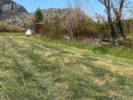 3700M2 Grundstück Zu Verkaufen In Dalyan