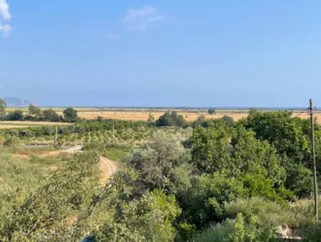 Land Zu Verkaufen In Fevziye 1858M2 Land Zum Verkauf Mit Voller Meerblick