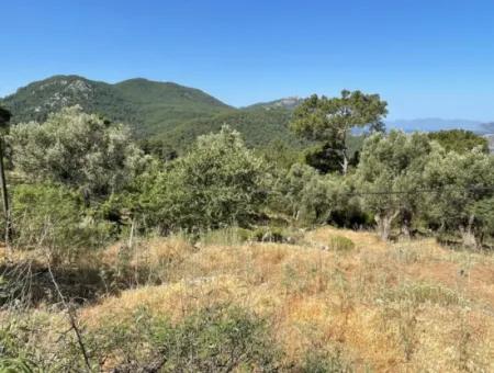 Grundstück Zum Verkauf Mit Meerblick In Gokbel