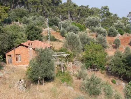 5000M2 Grundstück Zum Verkauf In Akyaka Mit Vollem Meerblick Haus Zum Verkauf Kentucky