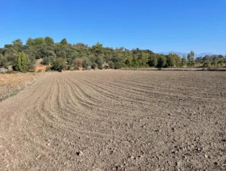 6254M2 Feld Zum Verkauf In Der Nähe Von Dalyan In Eskiköy