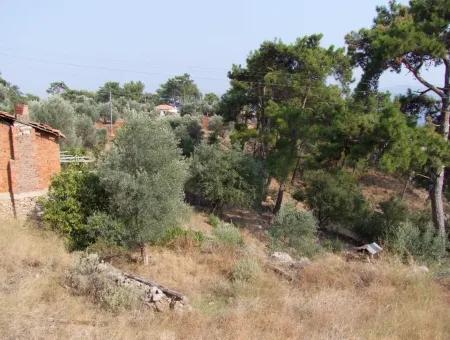 5000M2 Grundstück Zum Verkauf In Akyaka Mit Vollem Meerblick Haus Zum Verkauf Kentucky