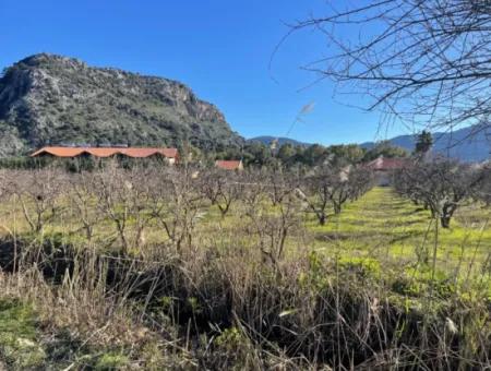 Dalyan Iztuzu Road Zero 5216M2 Feldgrundstück Zum Verkauf