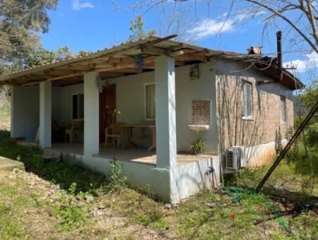 Mehrfamilienhaus Zum Verkauf In 5650M2 Feld In Zeytinalann