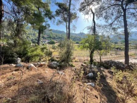 1.320M2 Feld Zum Verkauf Im Zentrum Von Çandır Am Wald