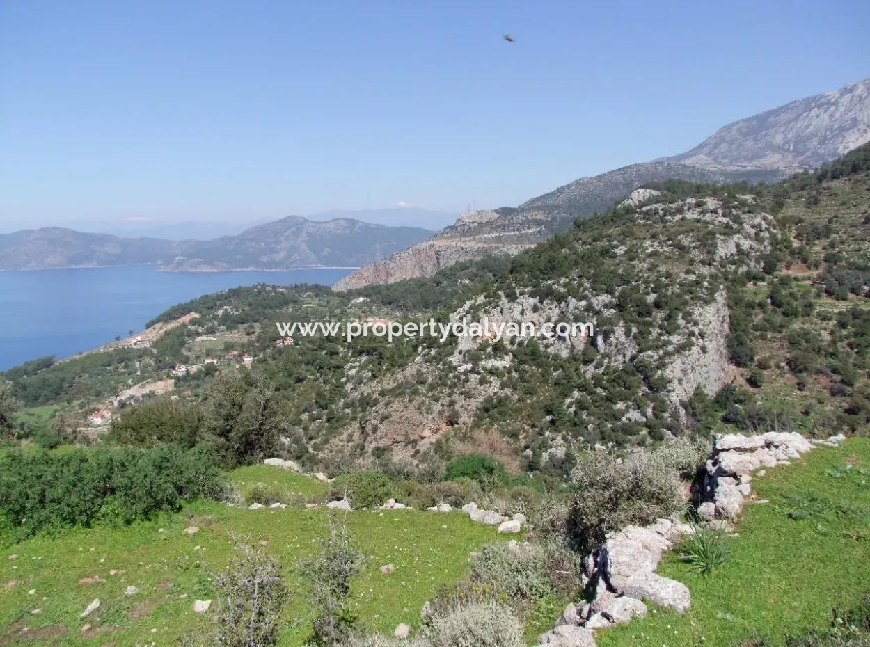 For Sale In Faralya Faralya With Sea View And 11,286M2 Land For Sale Tourism