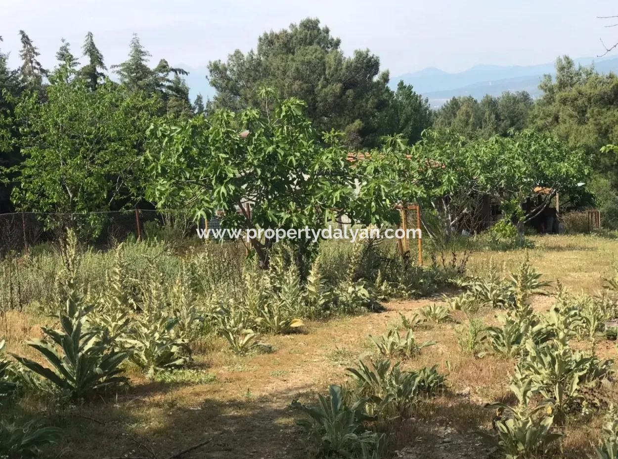 Land For Sale In Seydikemer Korubuku 76000M2