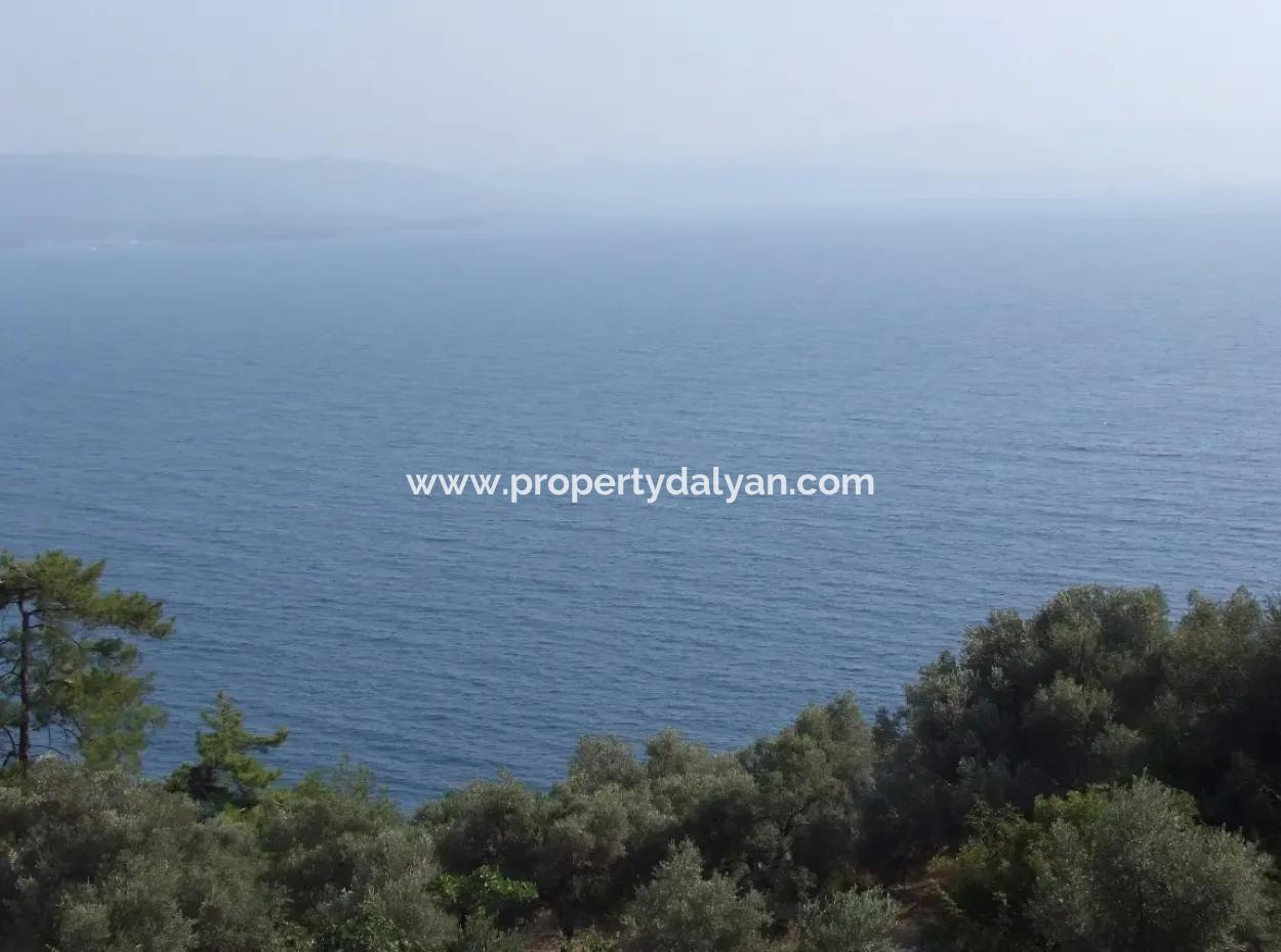 5000M2 Plot Of Land For Sale In Akyaka With Full Sea View House For Sale Kentucky