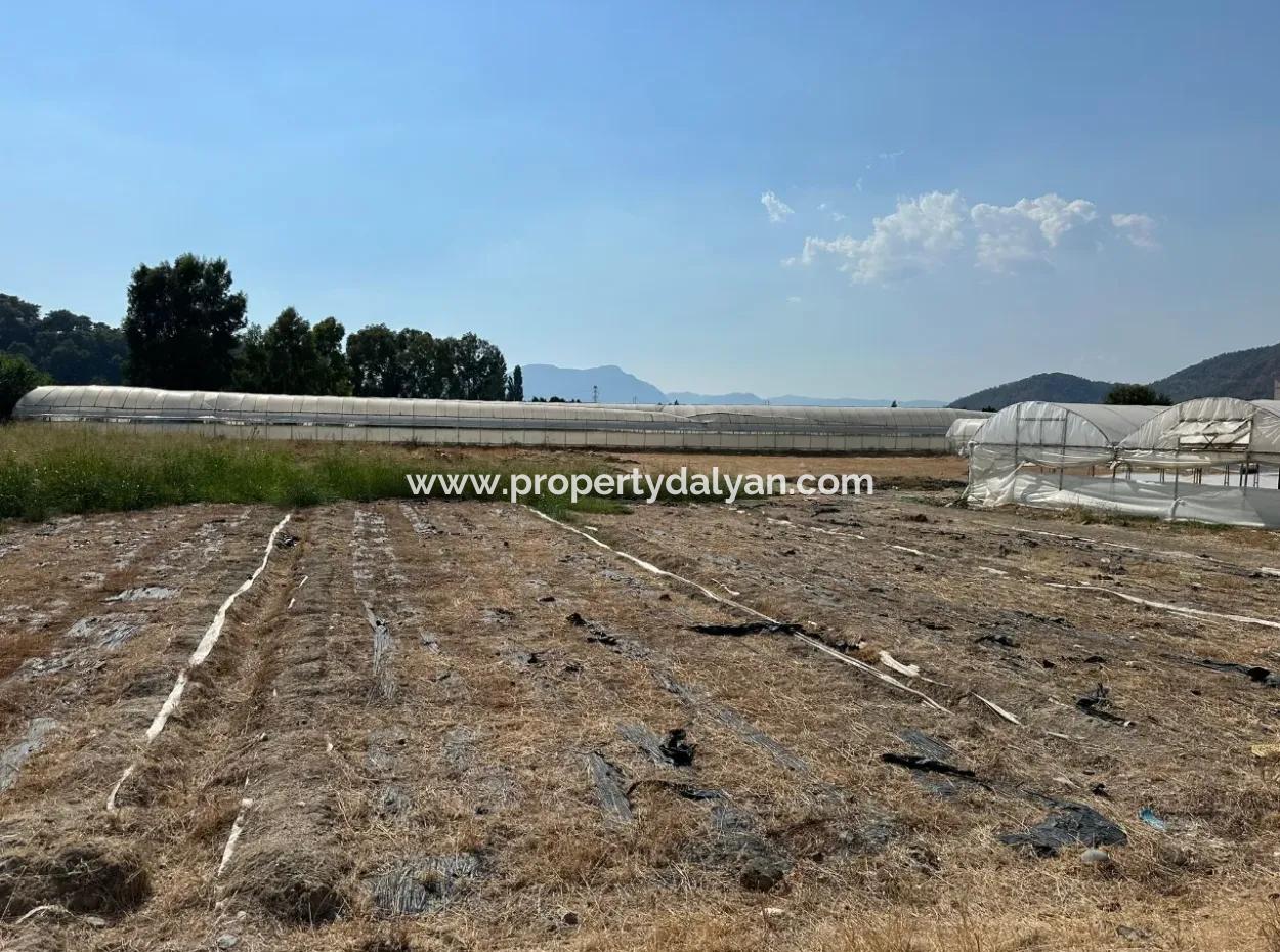 1462M2 Zoned Land For Sale In Ortaca Ekşiliyurt