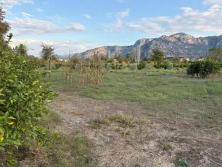 7,450M2 Land For Sale Close To The Center Of Dalyan