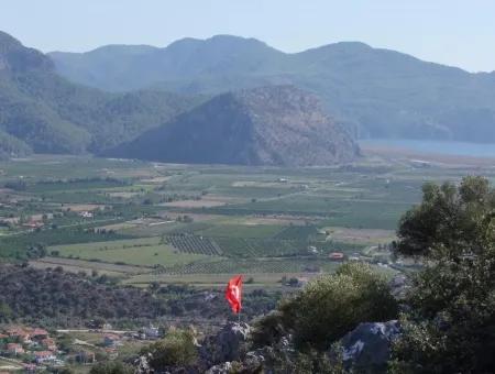 Maras In Dalyan For Sale Dalyan 7300M2 %5 Land Plot For Sale