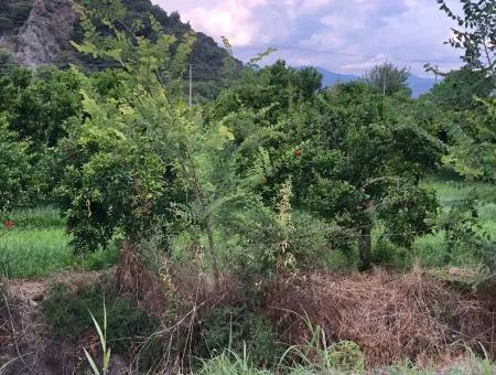 722M2 Plot For Sale In Dalyan Gülpınar For Sale