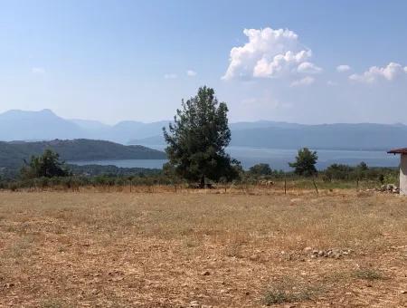 11.227M2 Land For Sale With Lake Views In Köyceğiz Zeytinalanı