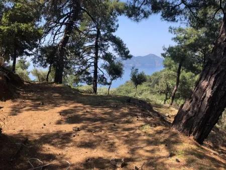 7034M2 Field For Sale With Sea View In Çandir