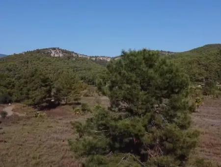 Land Land For Sale In Çamlıda Marmaris Çamlıda Sea View 11720M2 Land For Sale