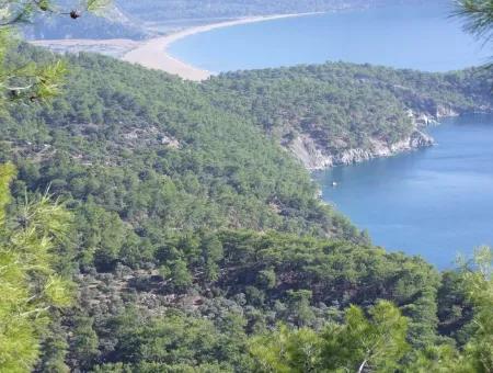 Real Estate Bargain Plot For Sale With Sea Views In Çandır Call In Ekincik