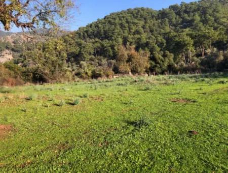 Ekincik Land For Sale 10,038M2 Land For Sale Field