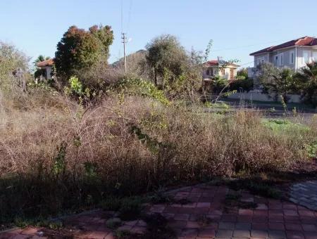 For Sale Plot For Sale Plot For Sale In Dalyan Gurpinar 1006M2 At The Corner