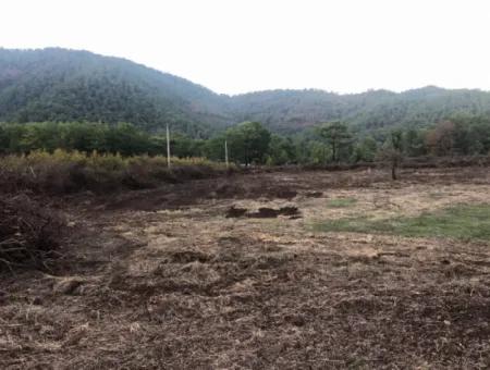 Sultaniye Land For Sale Near 10577M2 Lake Land For Sale