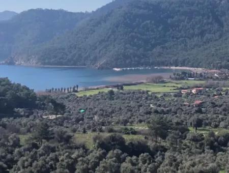 Ekincik Land For Sale Very Close To The Sea 2000M2 Land For Sale