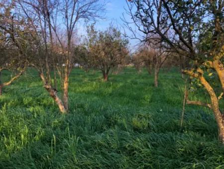 In Okçular Land For Sale 4707M2 Land For Sale