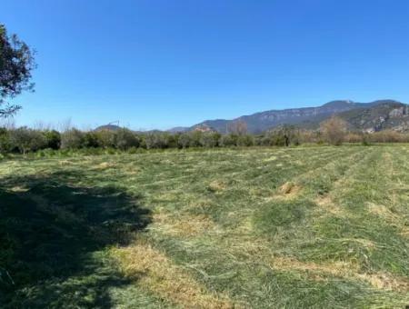 3700M2 Land For Sale In Dalyan