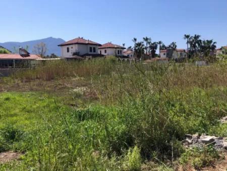 Land For Sale In Dalyan Gülpinar