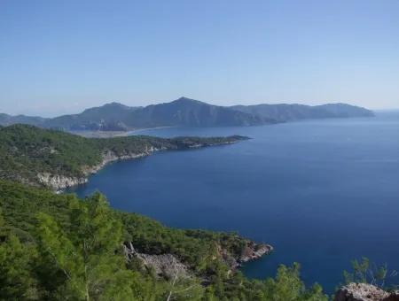 Real Estate Bargain Plot For Sale With Sea Views In Çandır Call In Ekincik