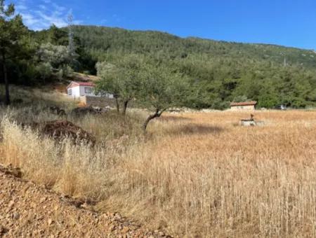 Land For Sale In Ula Armutchuk With 501M2 Zoning