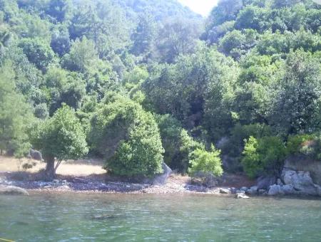 Marmaris Island Village Seafront 4000M2 Land For Sale Marmaris Bargain Land For Sale By Sea