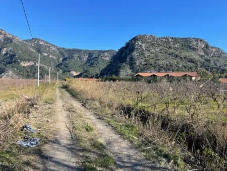 Dalyan Iztuzu Road Zero 5216M2 Field Plot For Sale