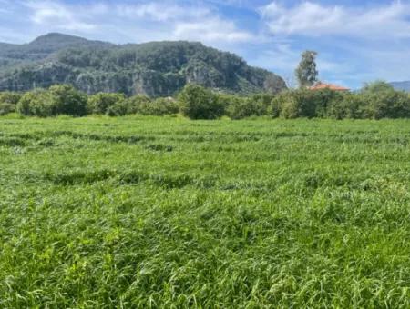 736M2 Land For Sale In Okçular