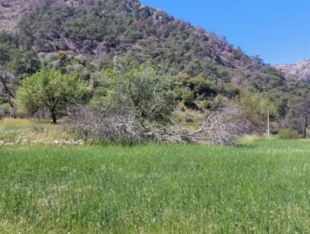 Marmaris Turgut Investment Land For Sale 29600M2 For Sale