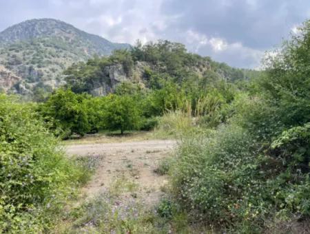 7800M2 Land For Sale At The Beginning Of Iztuzu Beach Road In Gökbel