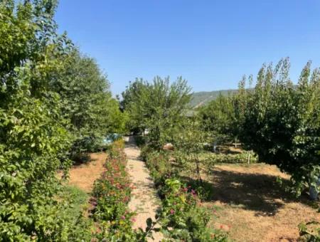 Muğla Ula Köprübaşı Mahallesin In 2378M2 Land In 3 1 Vlla For Sale