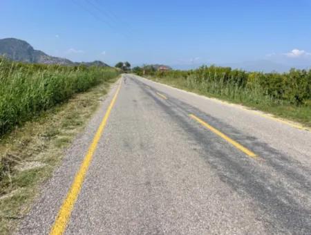 6,500M2 Field For Sale On The Iztuzu Road In Dalyan