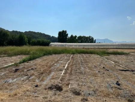 1462M2 Zoned Land For Sale In Ortaca Ekşiliyurt