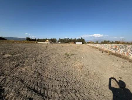 19.663M2 Land For Sale In Eskiköy