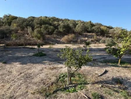 19.663M2 Land For Sale In Eskiköy