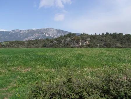 Akyaka Gökçede Satılık Arazi Denize Yakın Çiftlik İçin 21625M2 Satılık Tarla Yatırımlık Satılık Ars