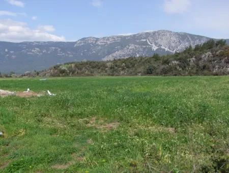 Akyaka Gökçede Satılık Arazi Denize Yakın Çiftlik İçin 21625M2 Satılık Tarla Yatırımlık Satılık Ars